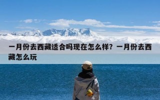 一月份去西藏适合吗现在怎么样？一月份去西藏怎么玩