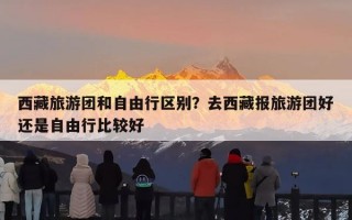 西藏旅游团和自由行区别？去西藏报旅游团好还是自由行比较好