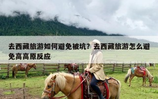 去西藏旅游如何避免被坑？去西藏旅游怎么避免高高原反应