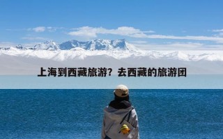 上海到西藏旅游？去西藏的旅游团