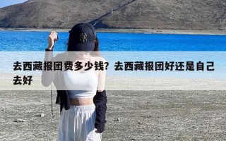 去西藏报团费多少钱？去西藏报团好还是自己去好