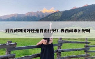 到西藏跟团好还是自由行好？去西藏跟团好吗