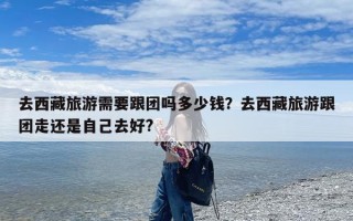 去西藏旅游需要跟团吗多少钱？去西藏旅游跟团走还是自己去好?