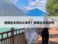 西藏适合游玩么知乎？西藏适合旅游吗