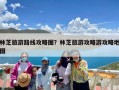 林芝旅游路线攻略图？林芝旅游攻略游攻略地图