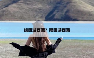 组团游西藏？跟团游西藏