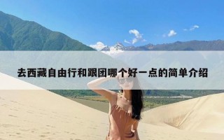 去西藏自由行和跟团哪个好一点的简单介绍