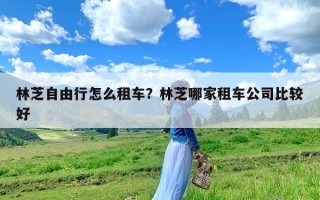 林芝自由行怎么租车？林芝哪家租车公司比较好