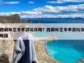 西藏林芝冬季游玩攻略？西藏林芝冬季游玩攻略图