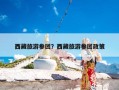 西藏旅游参团？西藏旅游参团政策