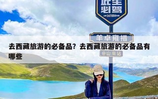 去西藏旅游的必备品？去西藏旅游的必备品有哪些