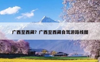 广西至西藏？广西至西藏自驾游路线图