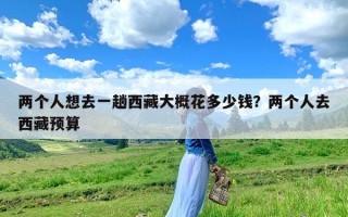 两个人想去一趟西藏大概花多少钱？两个人去西藏预算