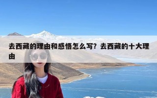 去西藏的理由和感悟怎么写？去西藏的十大理由