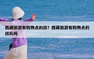 西藏旅游有购物点的团？西藏旅游有购物点的团队吗