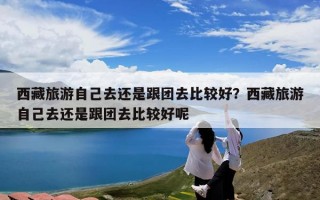 西藏旅游自己去还是跟团去比较好？西藏旅游自己去还是跟团去比较好呢