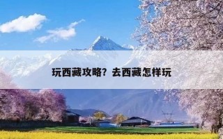 玩西藏攻略？去西藏怎样玩