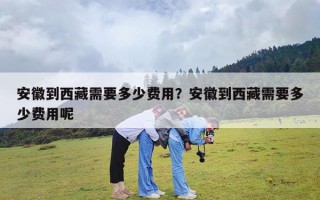 安徽到西藏需要多少费用？安徽到西藏需要多少费用呢