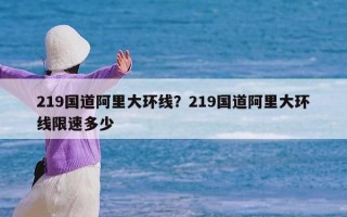 219国道阿里大环线？219国道阿里大环线限速多少