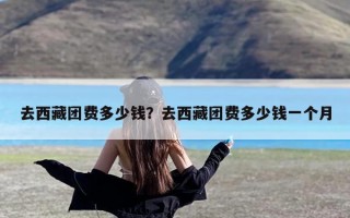 去西藏团费多少钱？去西藏团费多少钱一个月