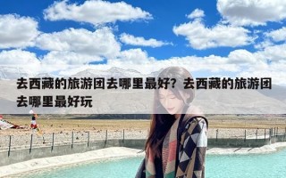 去西藏的旅游团去哪里最好？去西藏的旅游团去哪里最好玩