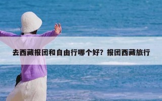 去西藏报团和自由行哪个好？报团西藏旅行