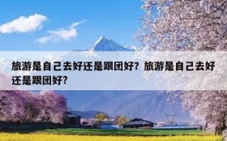 旅游是自己去好还是跟团好？旅游是自己去好还是跟团好?