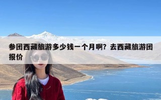 参团西藏旅游多少钱一个月啊？去西藏旅游团报价