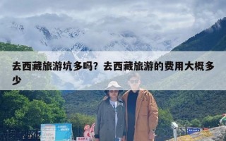 去西藏旅游坑多吗？去西藏旅游的费用大概多少