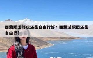 西藏跟团好玩还是自由行好？西藏游跟团还是自由行?