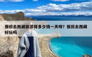 报团去西藏旅游得多少钱一天呀？报团去西藏好玩吗