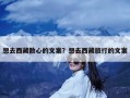 想去西藏散心的文案？想去西藏旅行的文案