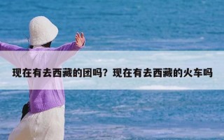 现在有去西藏的团吗？现在有去西藏的火车吗