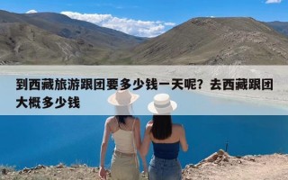 到西藏旅游跟团要多少钱一天呢？去西藏跟团大概多少钱