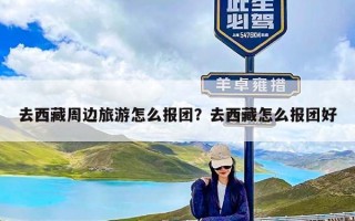 去西藏周边旅游怎么报团？去西藏怎么报团好