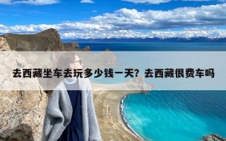 去西藏坐车去玩多少钱一天？去西藏很费车吗