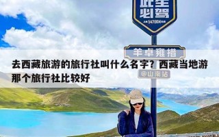 去西藏旅游的旅行社叫什么名字？西藏当地游那个旅行社比较好