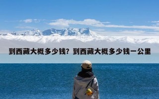 到西藏大概多少钱？到西藏大概多少钱一公里