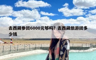 去西藏参团6000元够吗？去西藏旅游团多少钱