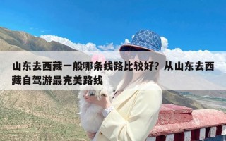 山东去西藏一般哪条线路比较好？从山东去西藏自驾游最完美路线