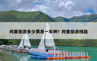 阿里旅游多少费用一年啊？阿里旅游线路