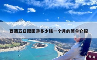 西藏五日跟团游多少钱一个月的简单介绍