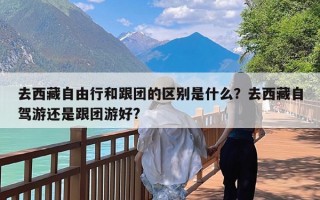 去西藏自由行和跟团的区别是什么？去西藏自驾游还是跟团游好?