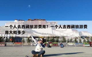 一个人去西藏旅游费用？一个人去西藏旅游费用大概多少