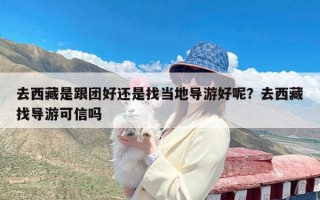 去西藏是跟团好还是找当地导游好呢？去西藏找导游可信吗