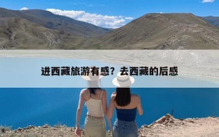 进西藏旅游有感？去西藏的后感