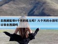 去西藏能带8个月的娃儿吗？八个月的小孩可以带去西藏吗