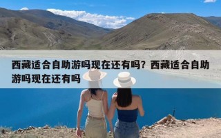 西藏适合自助游吗现在还有吗？西藏适合自助游吗现在还有吗