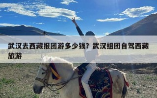 武汉去西藏报团游多少钱？武汉组团自驾西藏旅游