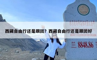 西藏自由行还是跟团？西藏自由行还是跟团好